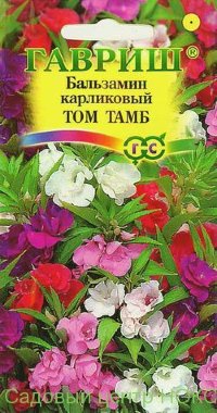 Бальзамин Том Тамб карлик. 0,2г (Гавриш)