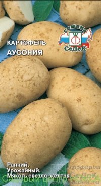 Картофель Аусония (Седек)