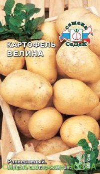 Картофель Велина (Седек)