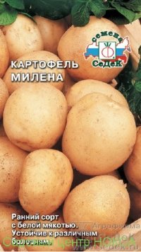 Картофель Милена (Седек)