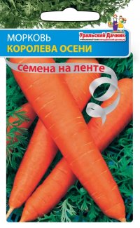Морковь на ленте Королева Осени (УД) 