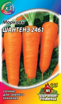 Морковь Шантенэ 2461 2,0 г ХИТ х3 (Гавриш)