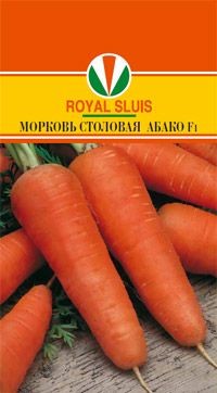 Морковь Абако (Акварель)