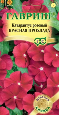 Катарантус Красная прохлада 7 шт. серия Элитная клумба (Гавриш)
