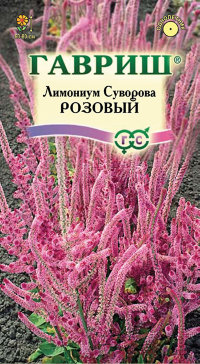 Лимониум Суворова розовый 0,01 г (Гавриш)