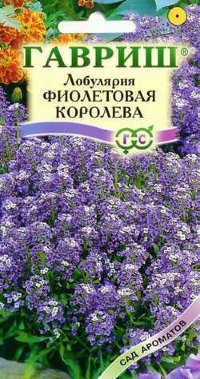 Лобулярия Фиолетовая королева 0,2 г серия Сад ароматов DH (Гавриш)