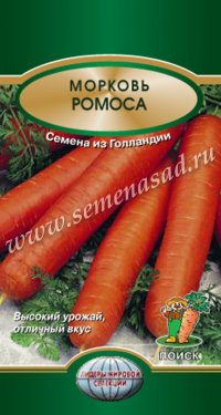 Морковь Ромоса (Поиск)