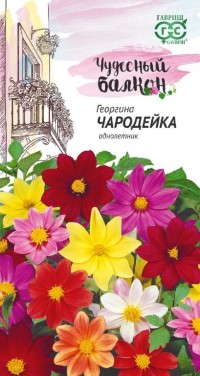 Георгина Чародейка, смесь 0,3 г серия Чудесный балкон (Гавриш)